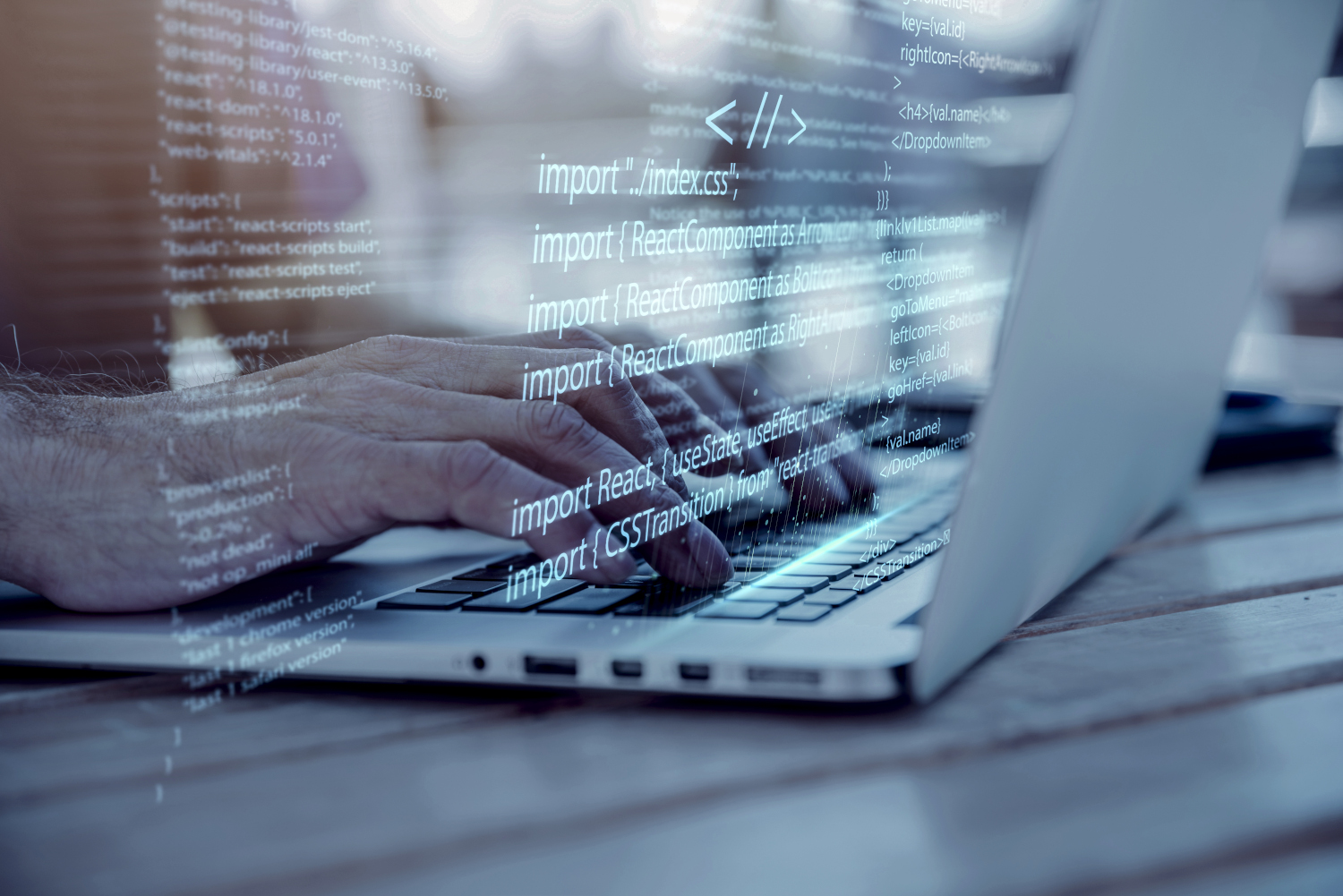 Desarrollo Web